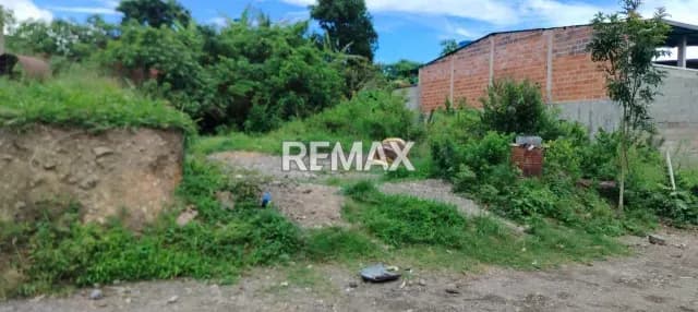 TERRENO EN VENTA CANEYES - 186