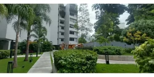 Vendo Ph 420m2 Campo Alegre 5586