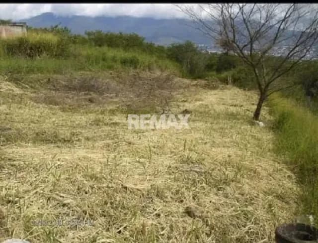 Venta Parcela Zona: TUCAPE BELLA VISTA