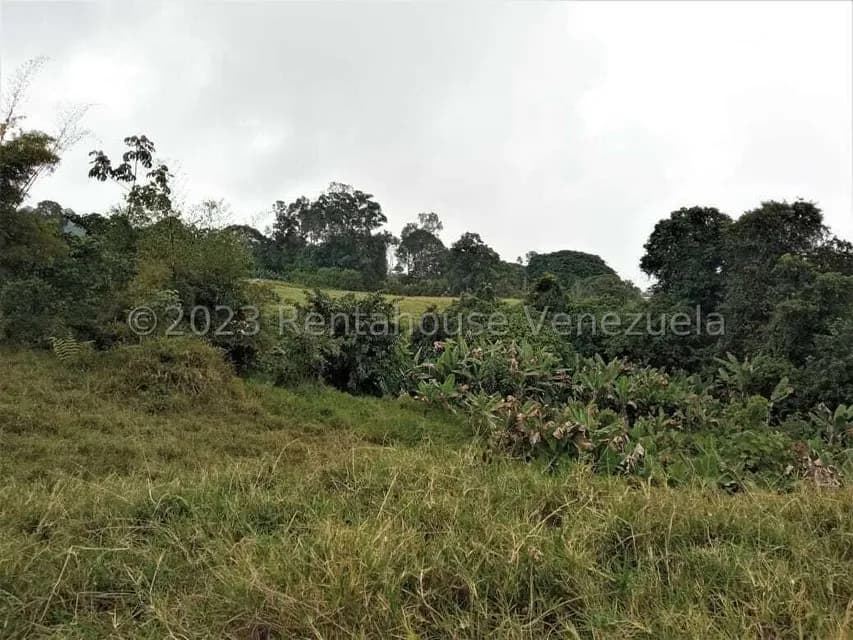Terreno (Finca) en Venta en Centro, Merida