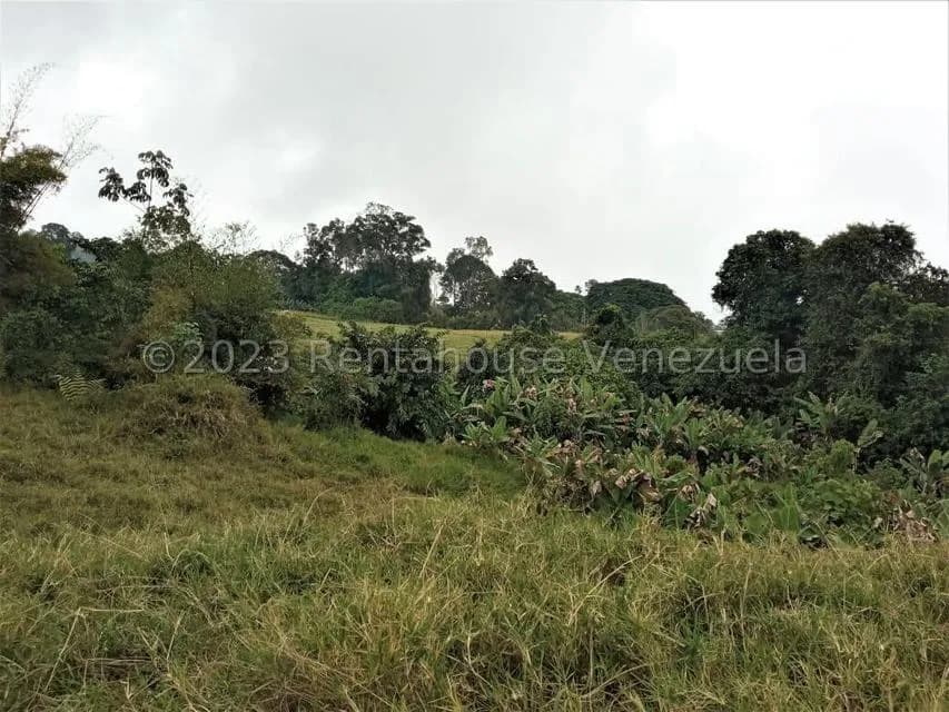 Terreno (Finca) en Venta en Centro, Merida