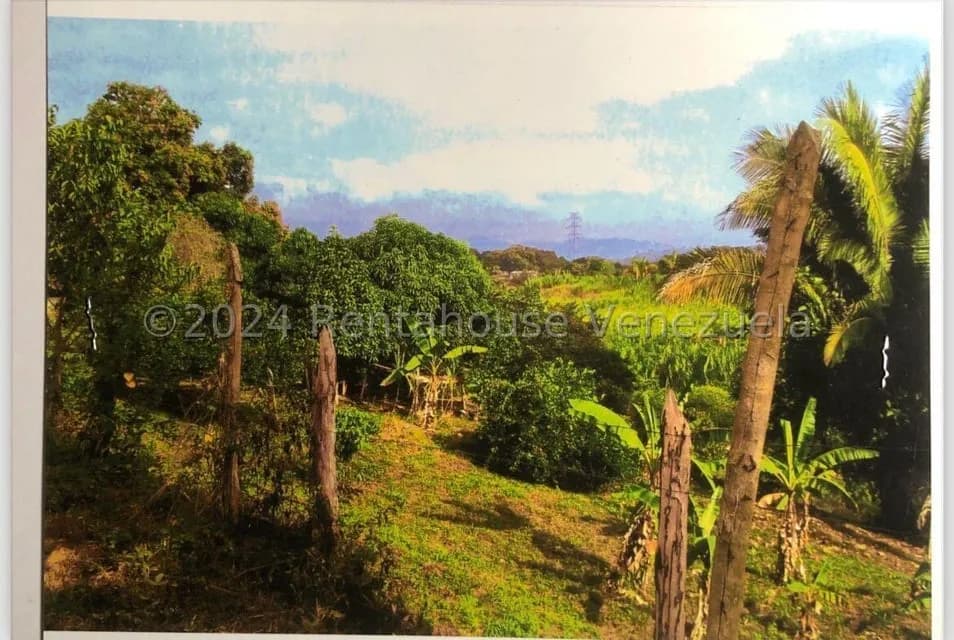 Terreno (Finca) en Venta en Merecure, Miranda
