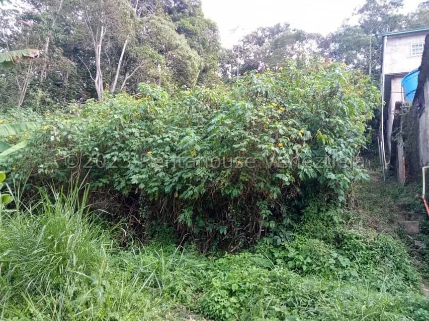 Terreno (Residencial) en Venta en Gavilan, Distrito Metropolitano