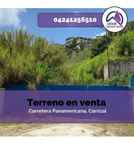 Parcela A Orilla De La Carretera Panamericana, Carrizal