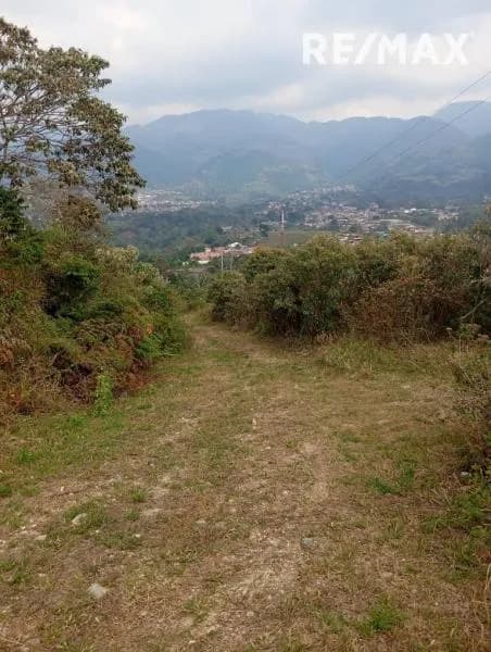 en venta 103 Parcelas ubicadas en el junco # 20