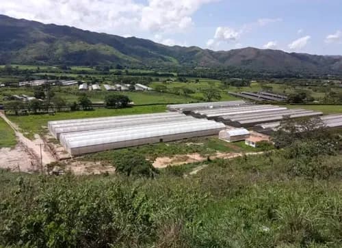 Papina Toledo Vende Espectacular Finca En Aguirre - Montalbán, Carabobo, 27 Ha., Invernaderos Para Cultivos Organopónicos, Venezuela, 295770