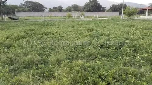 Excelente Oportunidad De Invercion Terreno En Venta, En San Diego, Buena Ubicacion A Pie De Calle , 6.000 Mts, Terreno Plano , Cercano Comercios, Farmacias ,colegios, Universidades, Uso Residencial