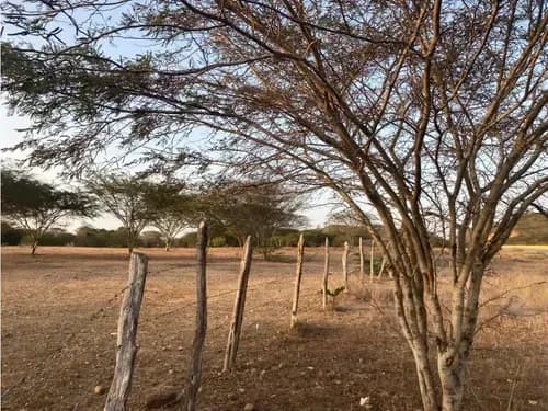Terreno En La Agustinera Píritu Ve49-069pt-jgue