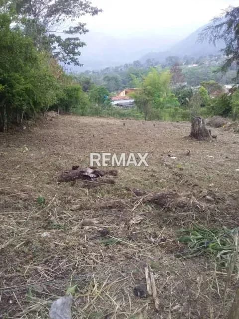 Amplio Terreno en Venta Ubicado en Sector Juan Díaz Los Pinos Escuque