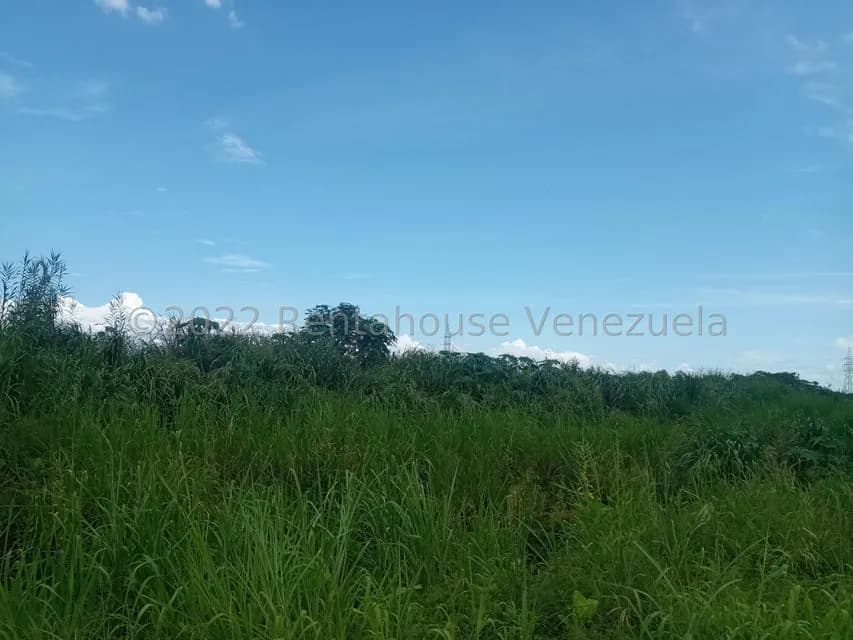 Terreno (Residencial) en Venta en Flor Amarillo, Carabobo