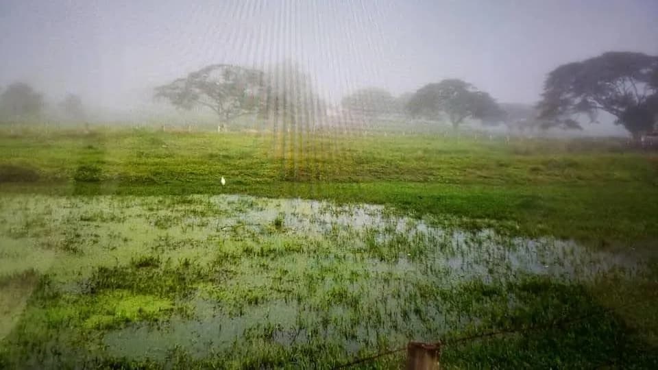 Terreno (Comercial) en Venta en La Sabana, Zulia