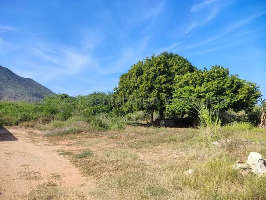 Terreno (Residencial) en Venta en Atamo Norte, Nueva Esparta