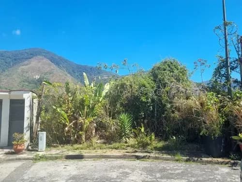 Terreno Venta En Urb Miranda 26-7698