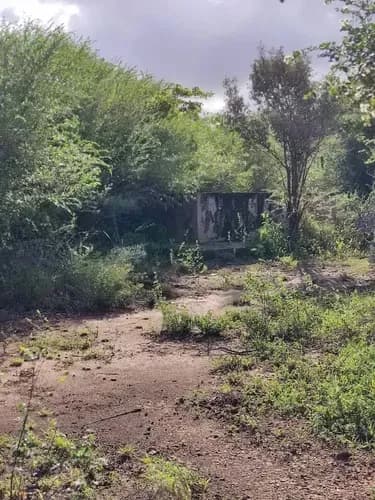 Terreno en venta en nueva-esparta - $31k
