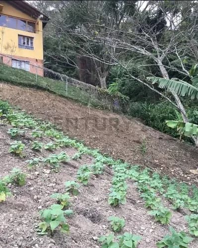Venta De Terreno San Diego De Los Altos. Miranda