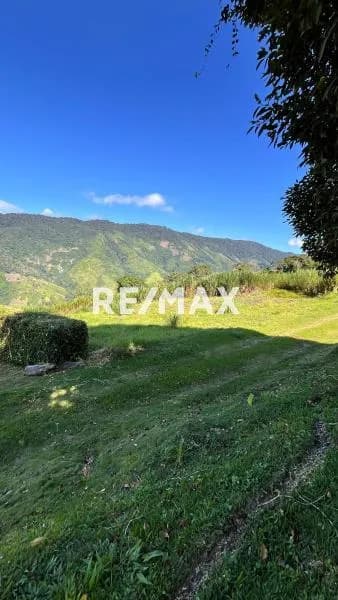 SE VENDE TERRENO . LA NIEBLA 1500 m2