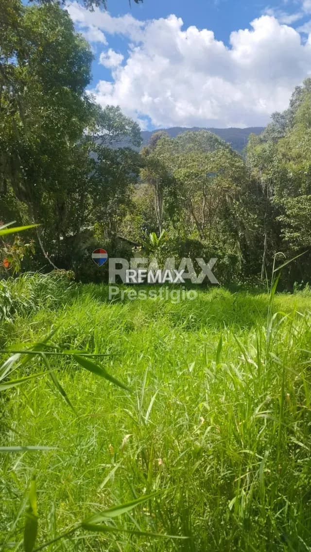 Terreno en Venta