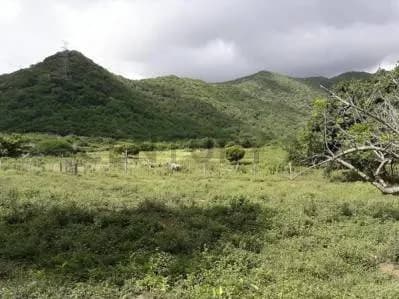 Terreno ubicado en Guatamare, Margarita