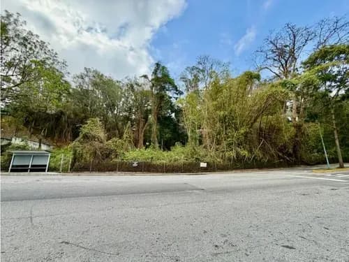 Se Vende Terreno Plano 10.529m2 Los Naranjos Del Cafetal