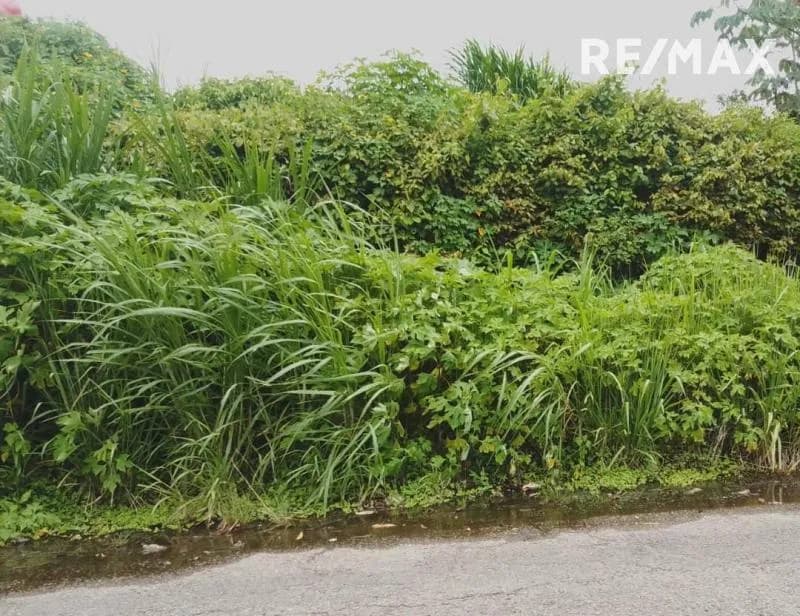 En venta Lote de Terreno ubicado en Pan de Azúcar,