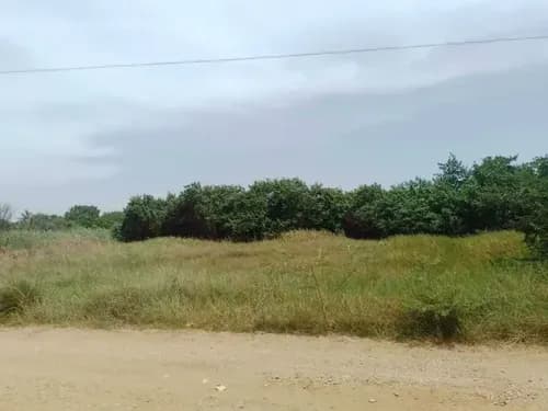 Venta Terreno En Tucacas