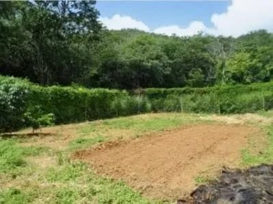 Terreno con bienhechuria en salamanca, la asunción