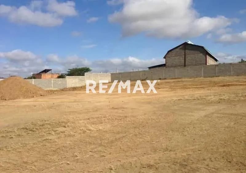 VENTA DE TERRENO ESPECIAL PARA PROYECTO INSDUSTRIAL, HABITACIONAL, AGRICOLA EN TAMACA SECTOR ROMERAL