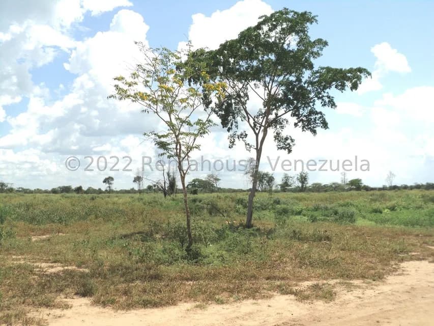 Terreno (Finca) en Venta en La Playa, Anzoategui