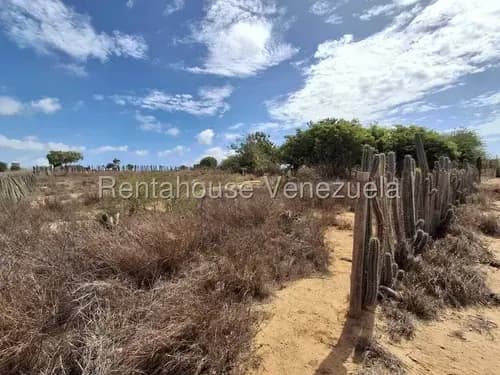Dm Vende Amplio Terreno En El Yaque Oportunidad De Inversion Isla De Margarita