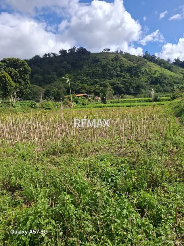 Se vende terreno ubicado en el fical aldea salomon