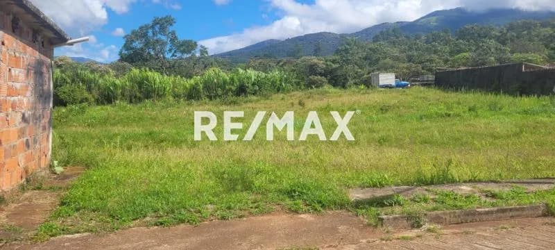 Parcela 8 en venta