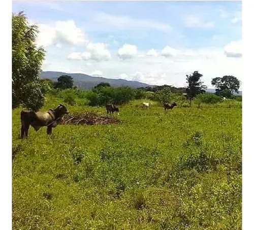 Se Vende Terreno Zona Industrial De Cabudare