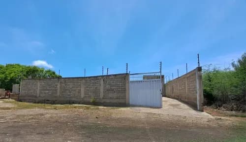 Local Tipo Galpón En Juan Griego