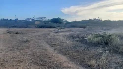 Terreno En Venta De 6000 M2 En Guanadito Norte, Municipio Los Taques, Punto Fijo, Estado Falcón. Zenaida Quintero