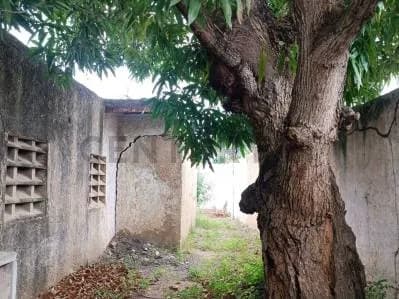 Terreno en venta con proyecto para Colegio