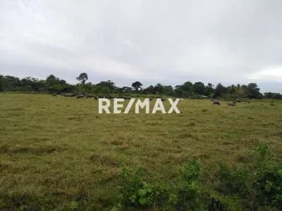 Finca en Venta en Viboral, Maturín, Monagas