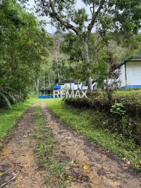 Se Vende Hacienda Cafetalera en el Corazón de Caripe, Estado Monagas