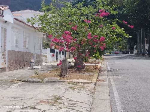 Ad, En Venta Casa Con Local Comercial En Av. Principal Trigal Norte, Calle Abierta.