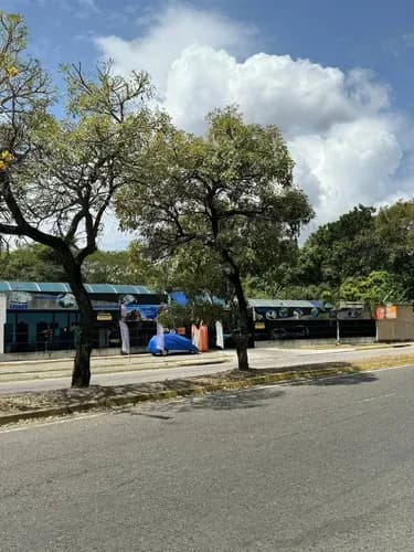 Venta De Local Comercial Y Fondo De Comercio En El Viñedo Gg
