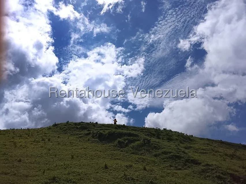 Terreno (Finca) en Venta en Jimenez, Lara