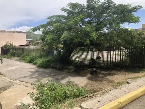 Sg Venta De Terreno 1.772 M2 En El Centro De Guacara Calle Paez Venta De Terreno De 1.772 M2 Muy Céntrico En Guacara Ubicado En La Calle Paez Cruce Con Calle Briceño. Completamente Plano Y Cercado.
