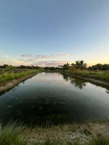 Venta Finca Piscicultora, El Cuji, Tocuyito A26-05