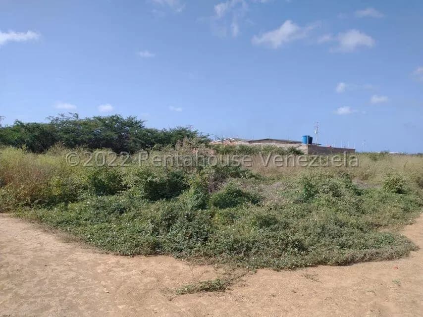 Terreno (Residencial) en Venta en Guanadito, Falcon