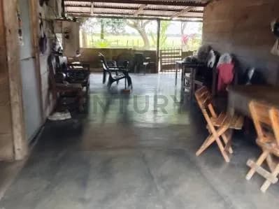 EN VENTA FINCA PRODUCTIVA EN GUACAS VIA GUASDUALITO, ESTADO APURE.