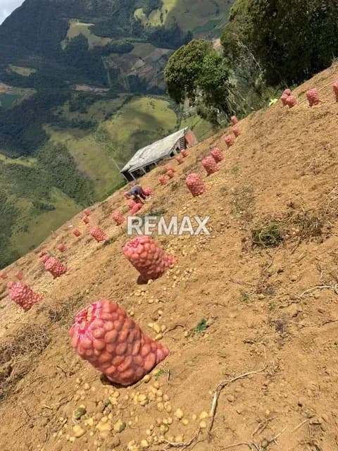 SE VENDE TERRENO EN EL PALENQUE