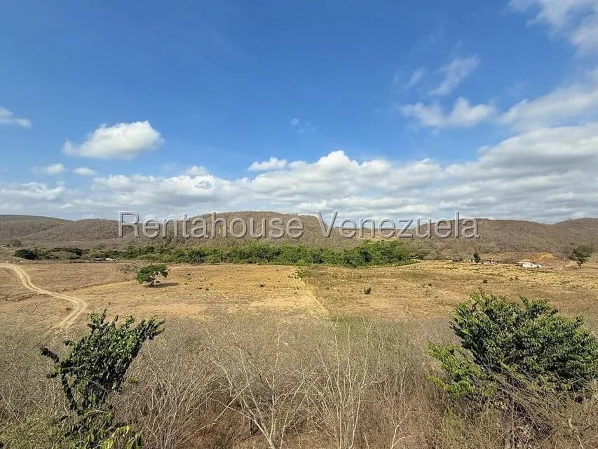Terreno (Finca) en Venta en Municipio Peña, Yaracuy