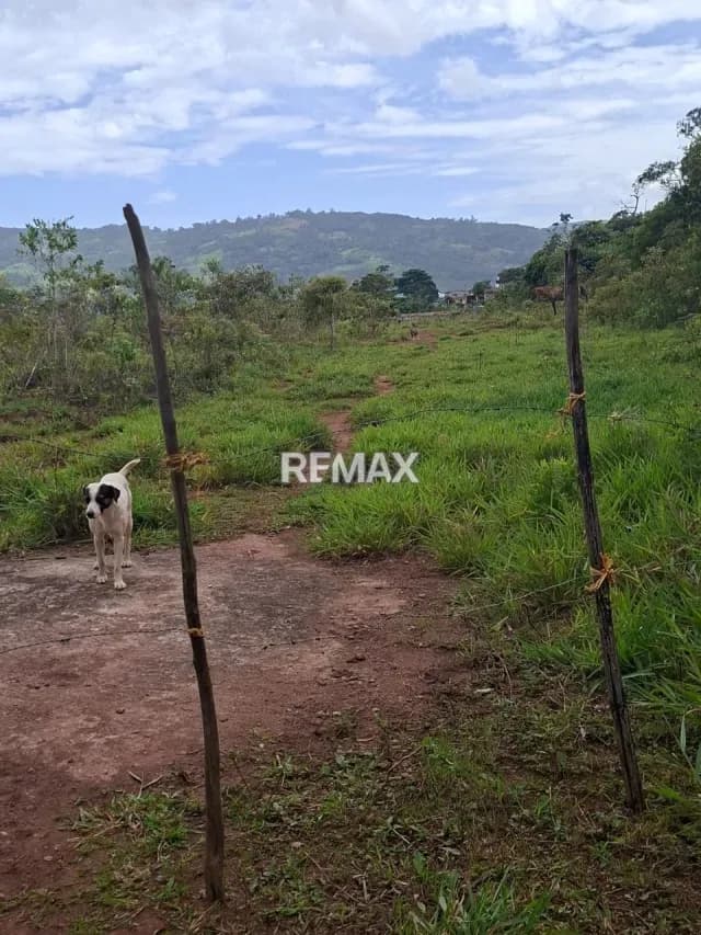 Terreno en lomas blancas