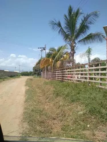 Venta Terreno En El Sector Valles De Mozanga San Diego Edo Carabobo 35-05