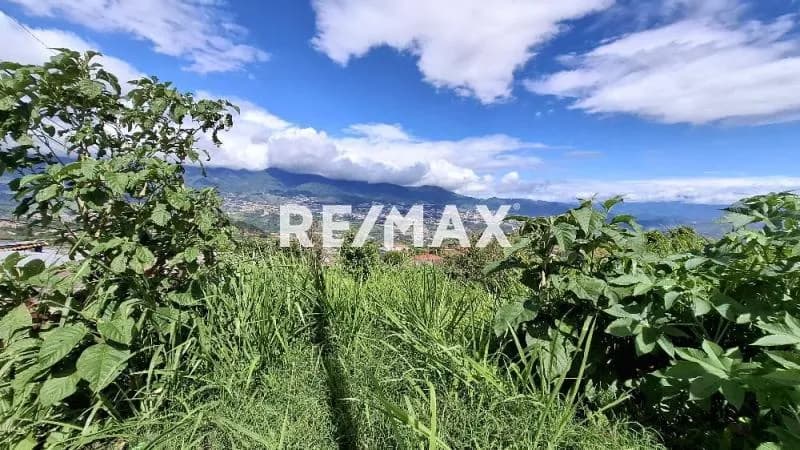 SE VENDE TERRENO EN ABEJAL DE PALMIRA