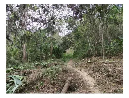 Terreno En Venta 20hect El Hatillo La Unión $287.000 Rh